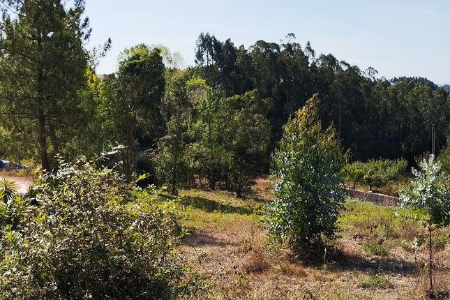 Land for sale in Souto Da Carpalhosa, Leiria, Costa De Prata, Portugal