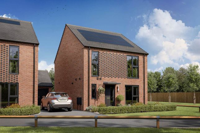 Thumbnail Detached house for sale in "The Edwena" at Anemone Avenue, Stafford