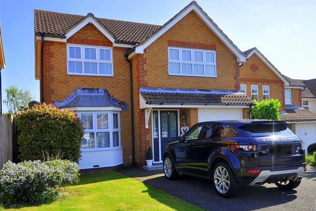 Thumbnail Detached house for sale in Darwell Drive, Stone Cross, Pevensey