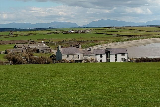 External