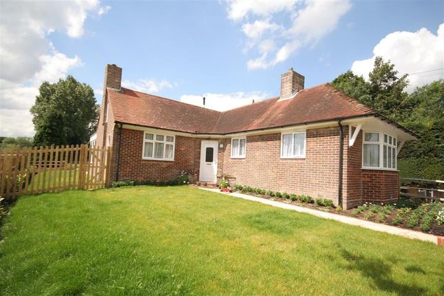 Thumbnail Bungalow to rent in Willhaven, Brighton Road, Hassocks