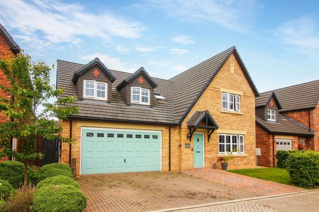 Thumbnail Detached house for sale in Bluestone Court, Backworth, Newcastle Upon Tyne