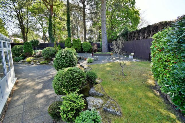 146, Golf Links Road, Ferndown photo 3
