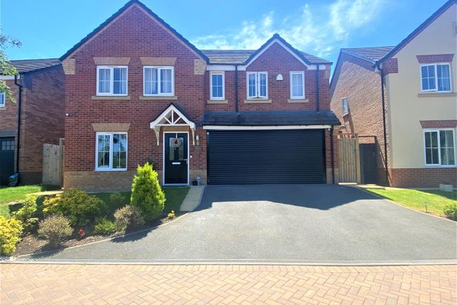 Thumbnail Detached house to rent in Dunwoody Court, Hearne Way, Shrewsbury