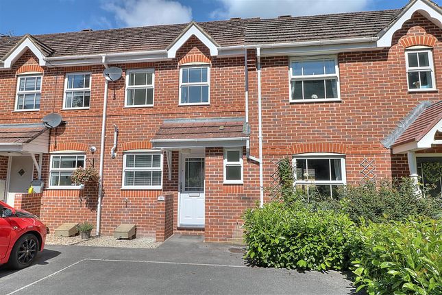 Tristram Close 31 Front 1.Jpg