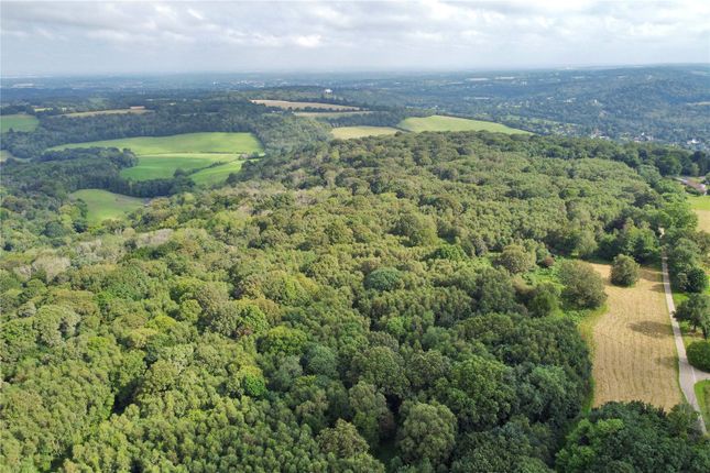 Thumbnail Land for sale in Ranmore Common Road, Ranmore Common, Dorking, Surrey