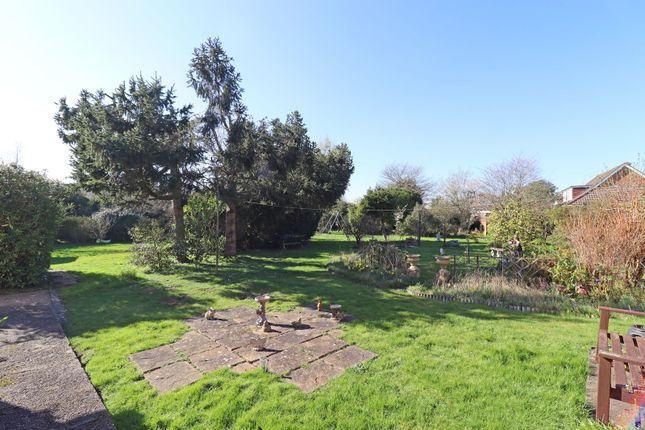 The Bramleys, School Lane, Manningtree photo 4