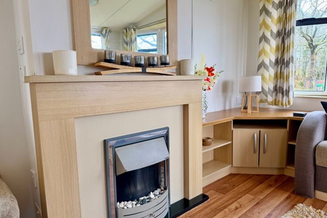 2, Hedley Wood Holiday Park, Holsworthy, Bude photo 3
