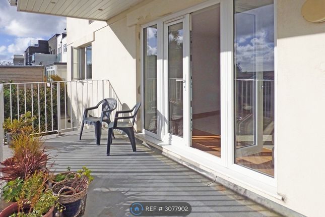 Far Horizons  Pentire Ave, Newquay photo 3