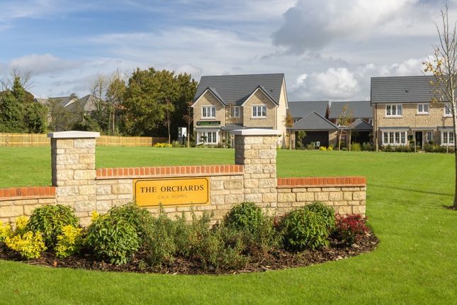 The Orchards, Purton