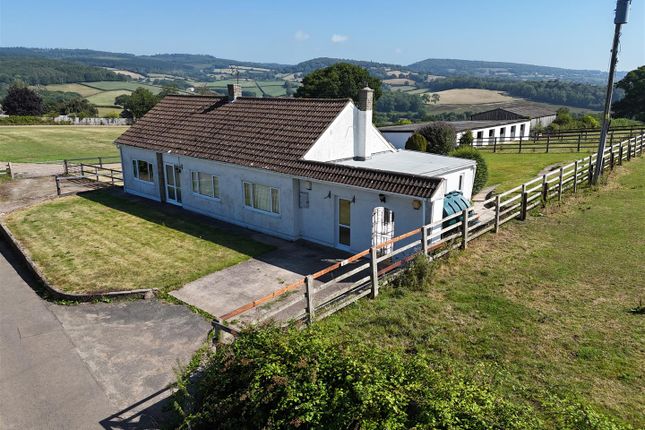 The Bungalow