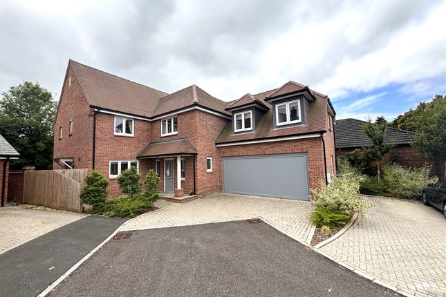 Thumbnail Detached house to rent in Dunleys Hil, Odiham, Hook