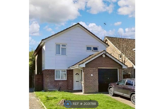 Thumbnail Detached house to rent in Netley Close, Ipswich