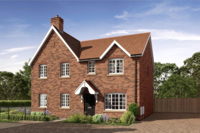 External Cgi