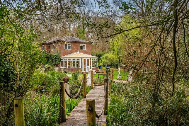 Goose Rye Road, Guildford photo 3