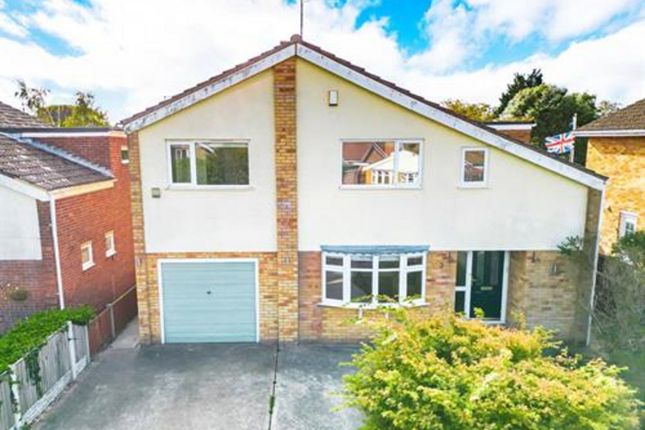 Thumbnail Detached house for sale in Conifer Close, Ormesby St Margaret