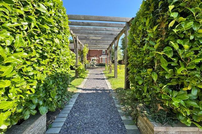 Pathway To The Pool House