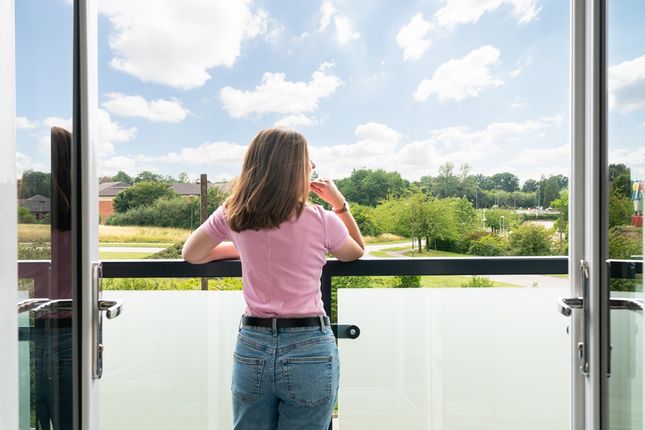 Which View Will You Choose?