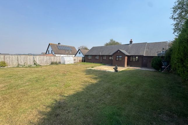 Ael Y Bryn, Rhiwgoch, Aberaeron photo 2