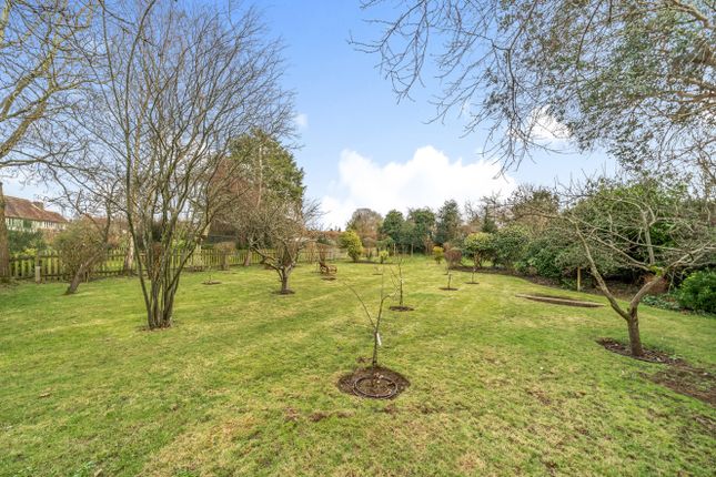 Detached house for sale in Lynch Road, Farnham, Surrey