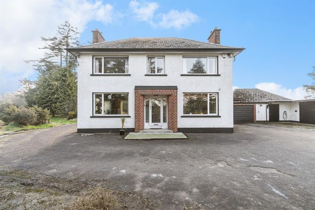 59, Grove Road, Ballynahinch photo 2