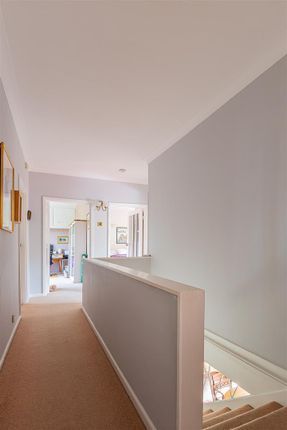 Hollybush Road 38-3.Jpg