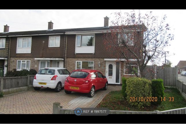 Thumbnail Semi-detached house to rent in Bourne Avenue, Basildon