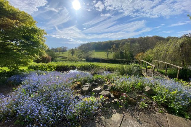 Beechtree Farmhouse, Usk photo 4