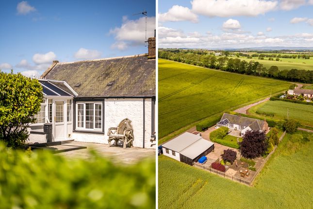 3 East Grange Of Conon Farm Cottage, Arbroath photo 2