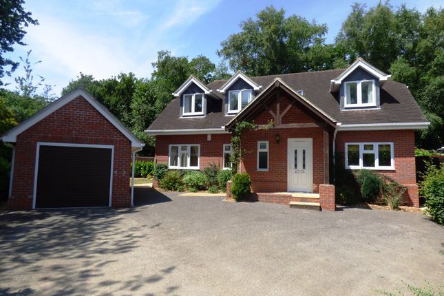 Thumbnail Detached house to rent in Torton Hill Road, Arundel