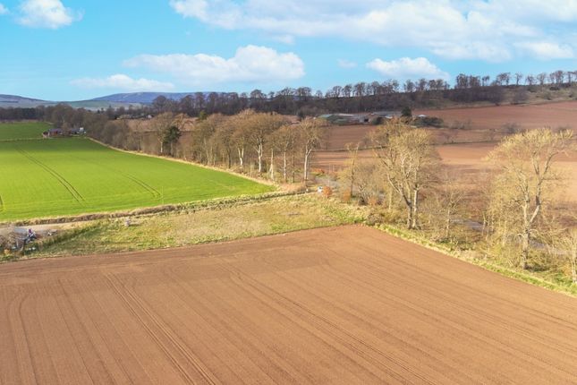 Thumbnail Land for sale in Park Cottage, Careston, Brechin, Angus