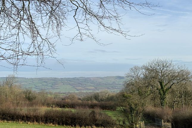 Land for sale in Dihewyd, Lampeter