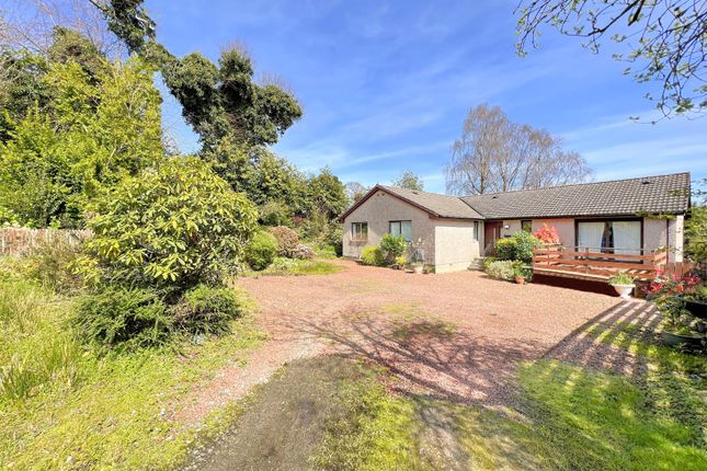 5, Victoria Road, Dunoon photo 4