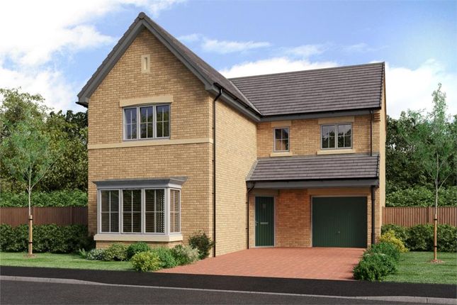 Brookland Park development image 0