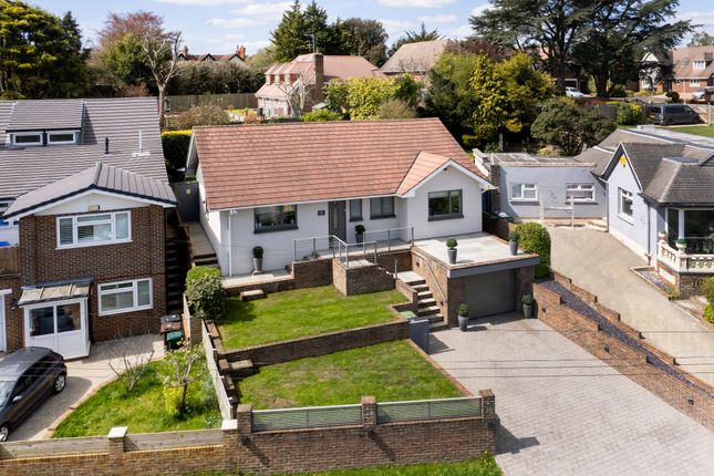 Thumbnail Detached bungalow for sale in Wayland Avenue, Brighton