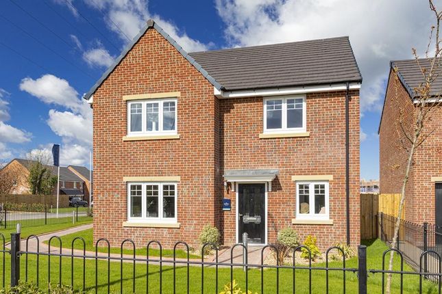 Thumbnail Detached house for sale in "The Selsdon" at Croston Road, Farington Moss, Leyland