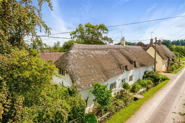 Thumbnail Detached house for sale in Pipers Cottage, Throop, Dorchester