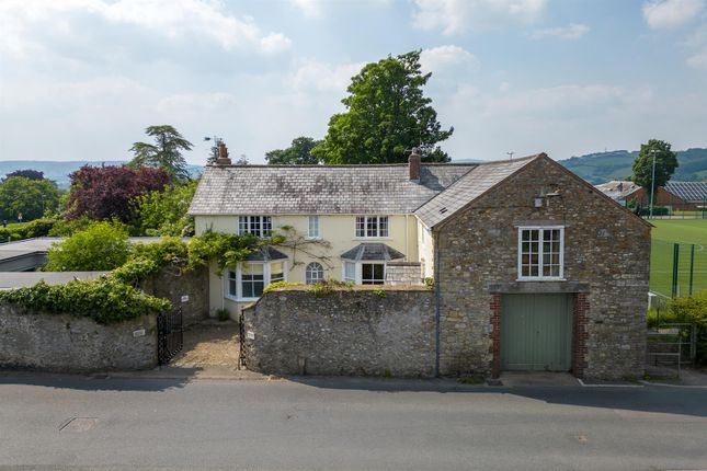 The Property