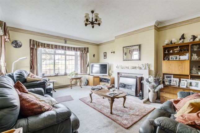 Ellis Avenue, Worthing photo 3