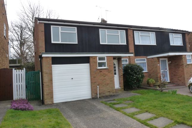 Thumbnail Semi-detached house to rent in Hillview Road, Chelmsford