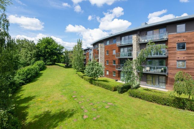 Sandling Park, Maidstone ME14, 1 bedroom flat for sale ...