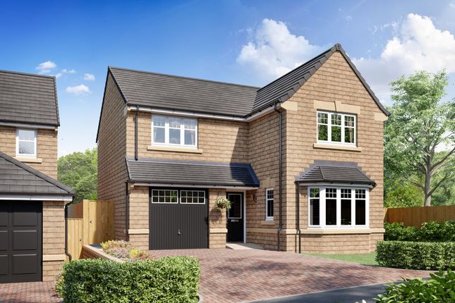 Thumbnail Detached house for sale in Crofters Green, Killinghall