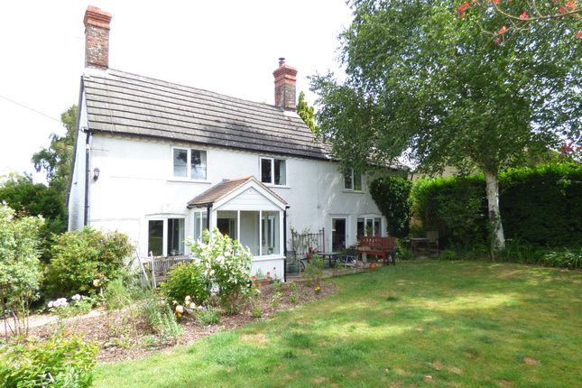 Thumbnail Cottage for sale in Bittles Green, Motcombe