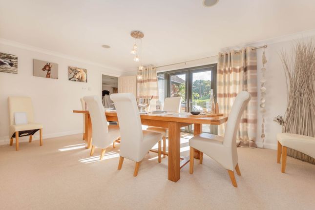 8, Ringland Road, Norwich photo 4