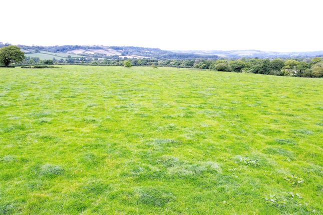 Land for sale in Lampeter Velfrey, Narberth, Pembrokeshire