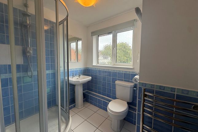 55, Romsey photo 5