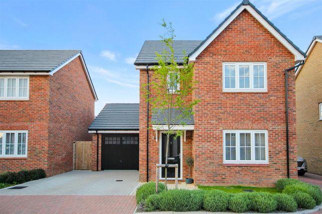 Detached house to rent in Dovecote Drive, Biddenham, Bedford
