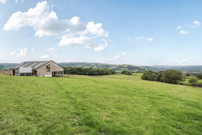 1361387-10-68Dd48...