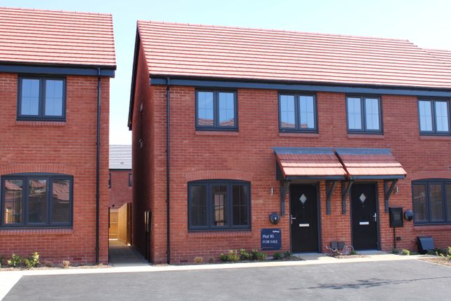 Plot 95