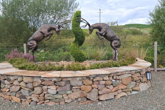 Galloway Forest Holiday Park, Newton Stewart photo 4